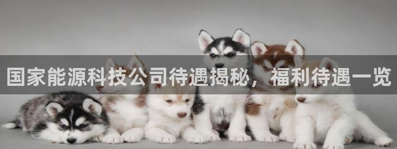 sunbet最新登陆
