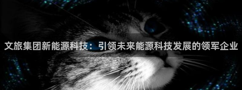 申博视讯