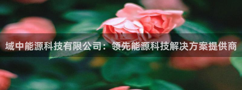 sunbet游戏最新版