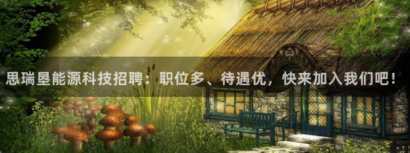 sunbet手机网页版本