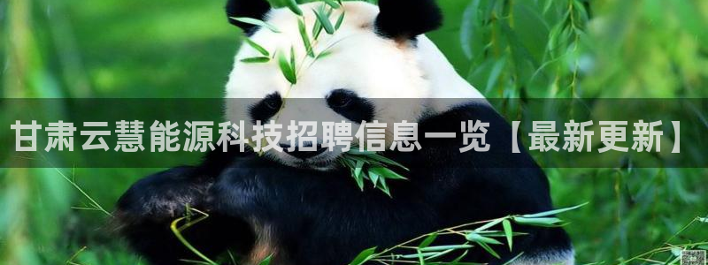 申博官网手机客户端