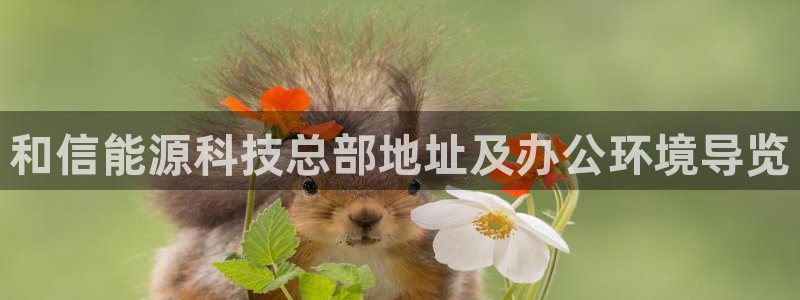 申慱sunbet版app