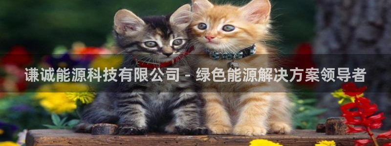 进入sunbet官网手机版登陆