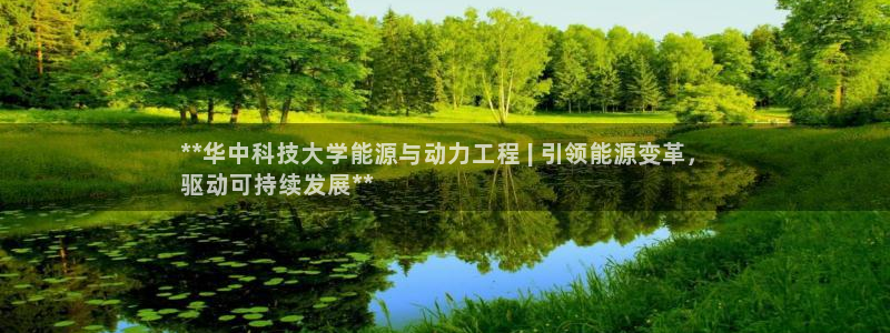 sunbet源码