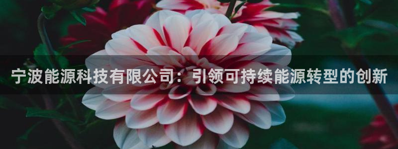 sunbet官网welcome