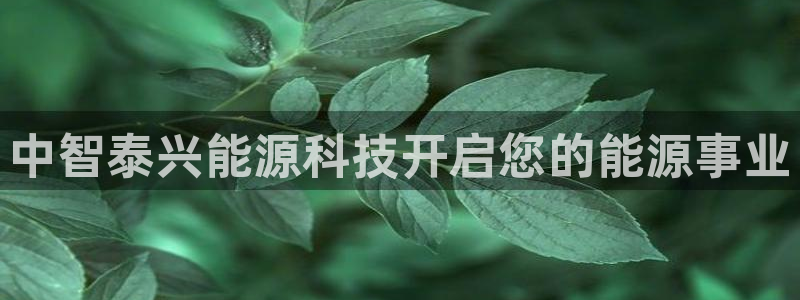 sunbet苹果官网下载