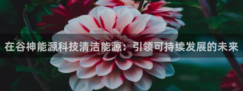 sunbet苹果app
