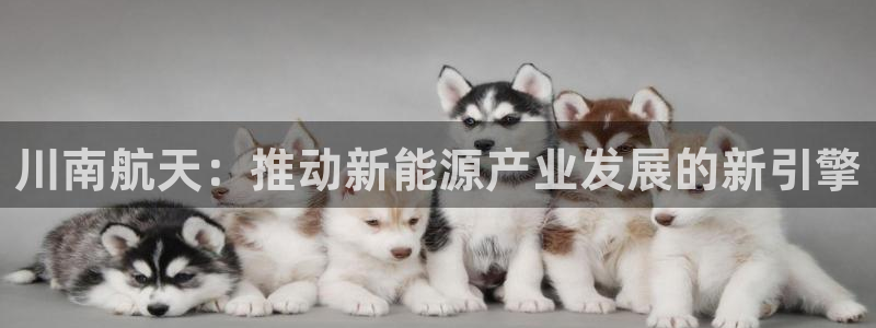 sunbet手机端