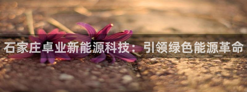 申博手机网址