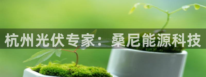 sunbet英语翻译