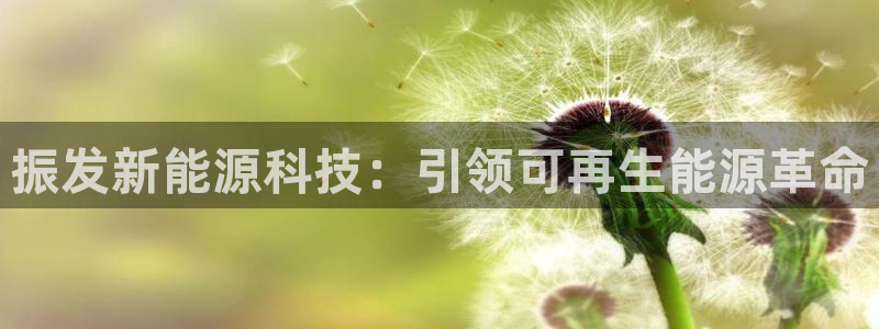 sunbet手机版官网下载