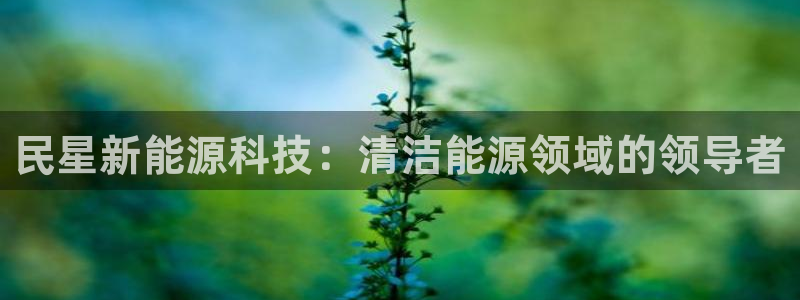 sunbet程序