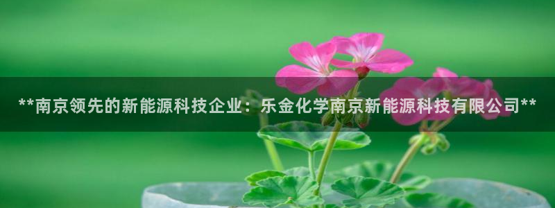 申博官网手机版下载app