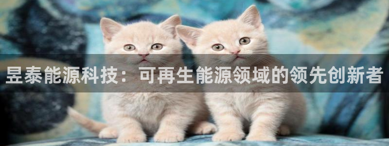 申博手机网站