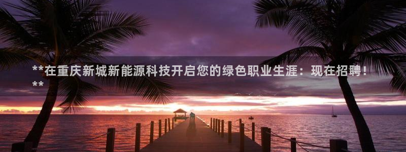 sunbet英语翻译