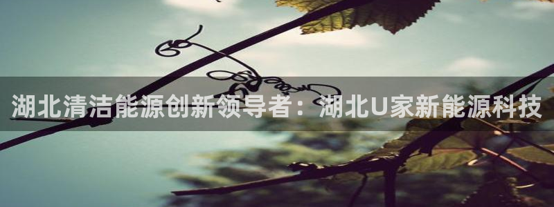 申博手机版app下载