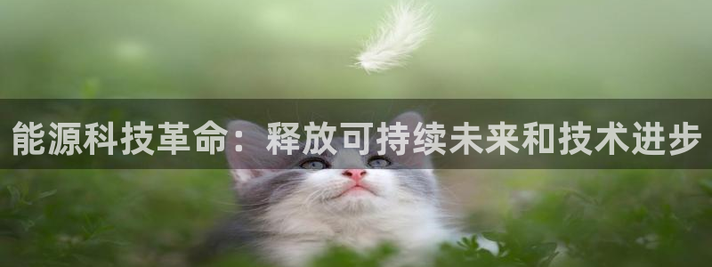 申博手机版app下载