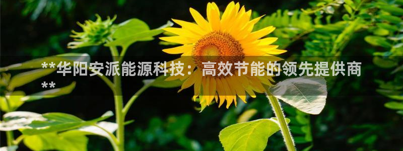 进入sunbet官网手机版登陆
