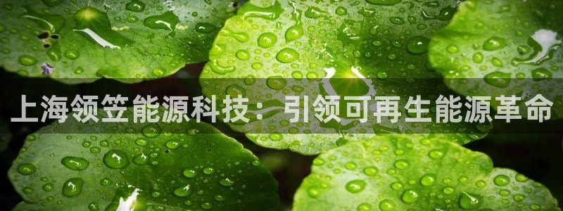 sunbet英语翻译
