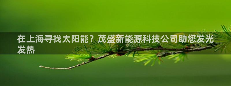 sunbet游戏网