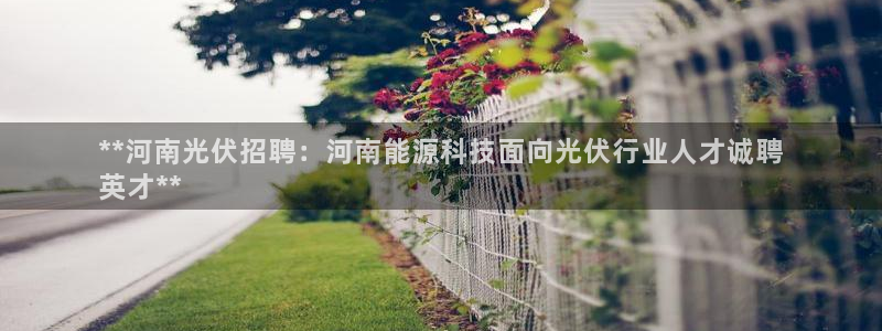 sunbet最新登陆