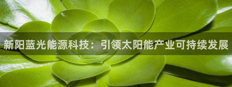 sunbet手机端