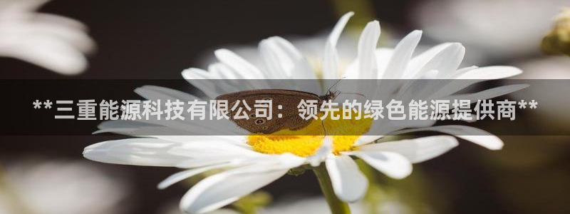 申博手机版官网