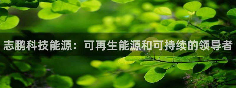 sunbething怎么读