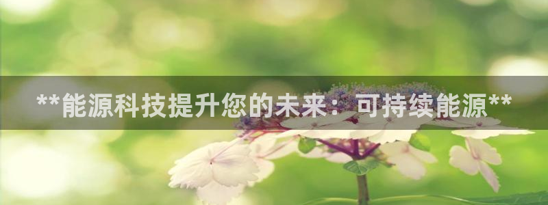 sunbet源码