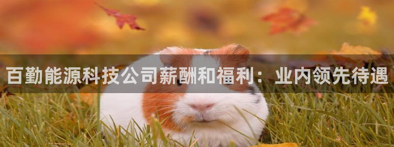 申博官方网站