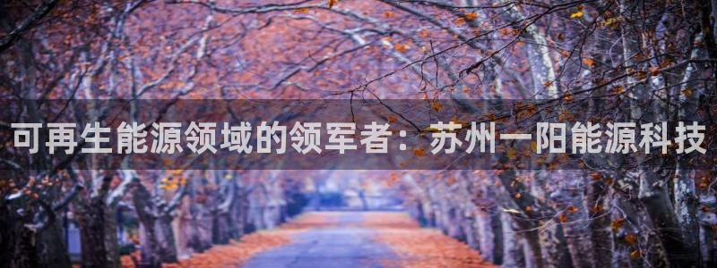 sunbet游戏网