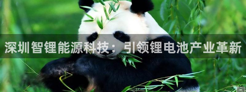 申博官方网站手机版下载