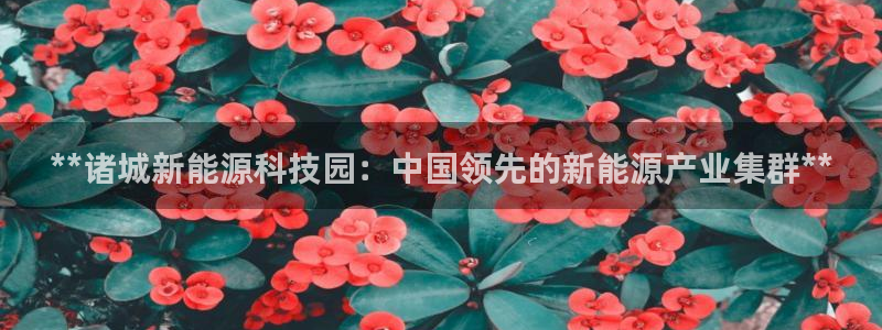 sunbet燃气灶