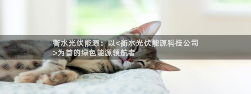sunbet中文
