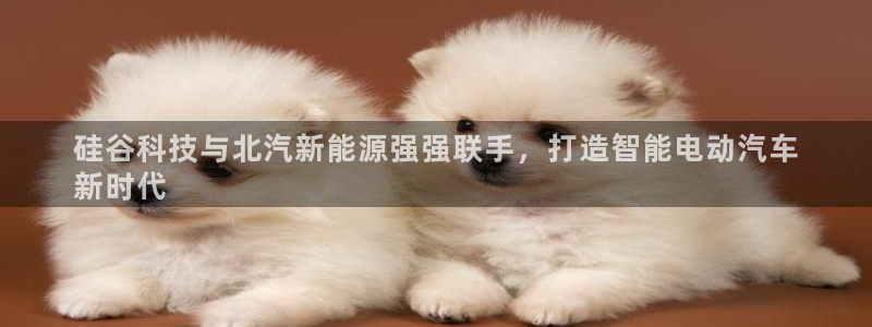 sunbet源码