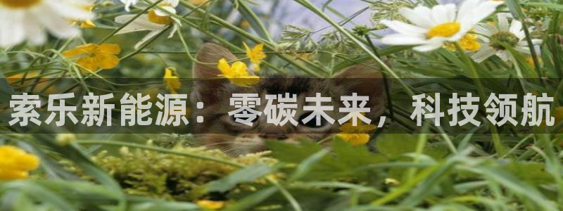 申慱sunbet版app