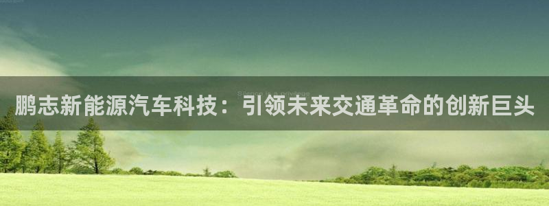 sunbet手机版登录