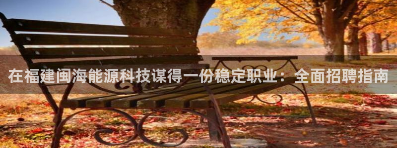 sunbet英语翻译