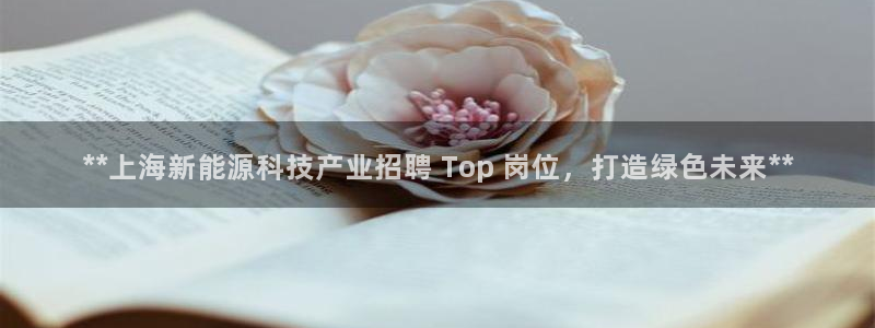 sunbet手机端