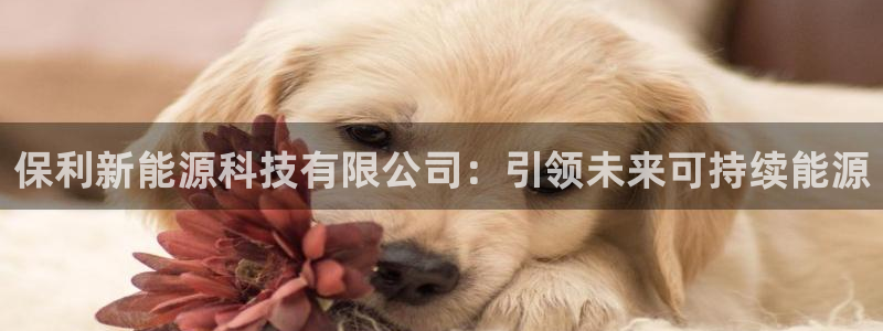 申博官方网址