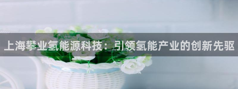 sunbet手机版官网下载