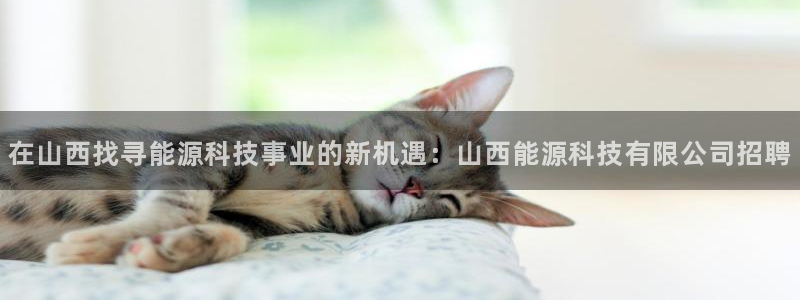 sunbet靠谱吗