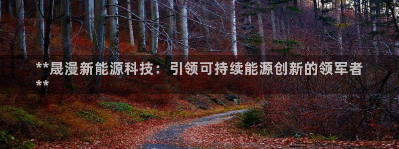 申博手机版官网