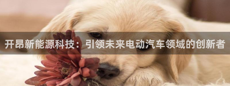 sunbet官网代理下载