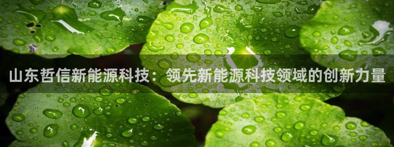 sunbet最新消息