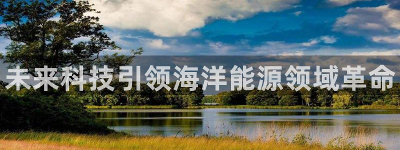 sunbet源码