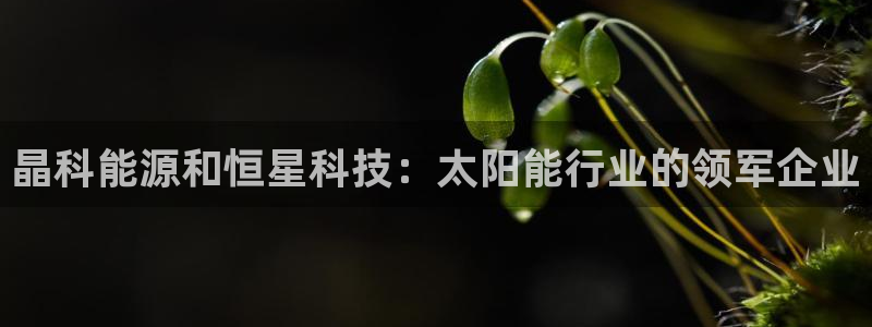 sunbet游戏网
