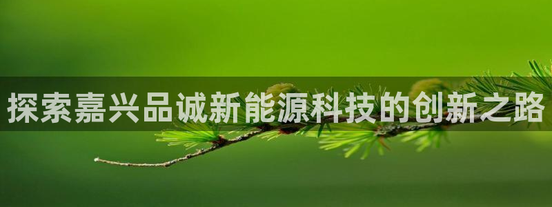 sunbet苹果官网下载