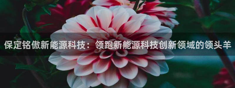 申博手机版app下载