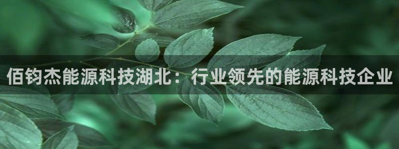 sunbet申搏app下载